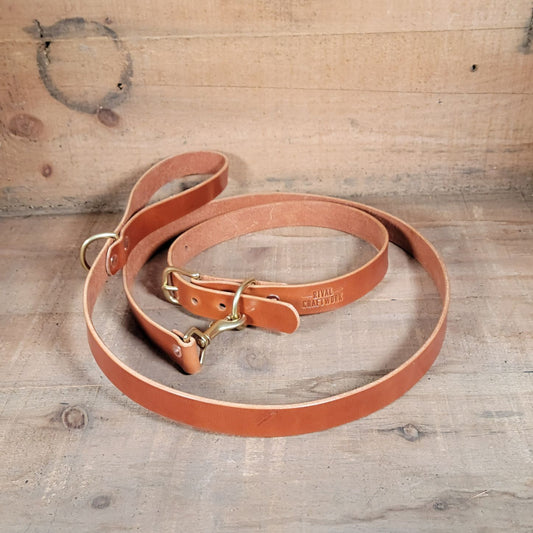 Large Dog Leash & Collar